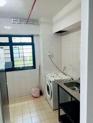 Blk 159A Rivervale View (Sengkang), HDB 4 Rooms #566270291